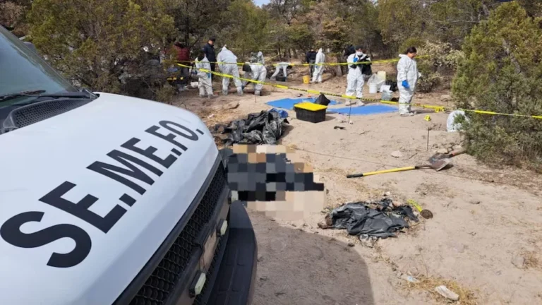 72 cuerpos han sido rescatados de 38 fosas clandestinas.