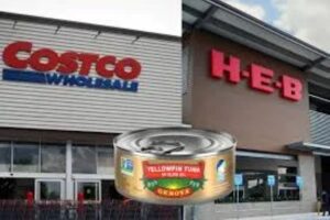 Retirán latas de atún en Estados Unidos por peligro de contaminación con botulismo.