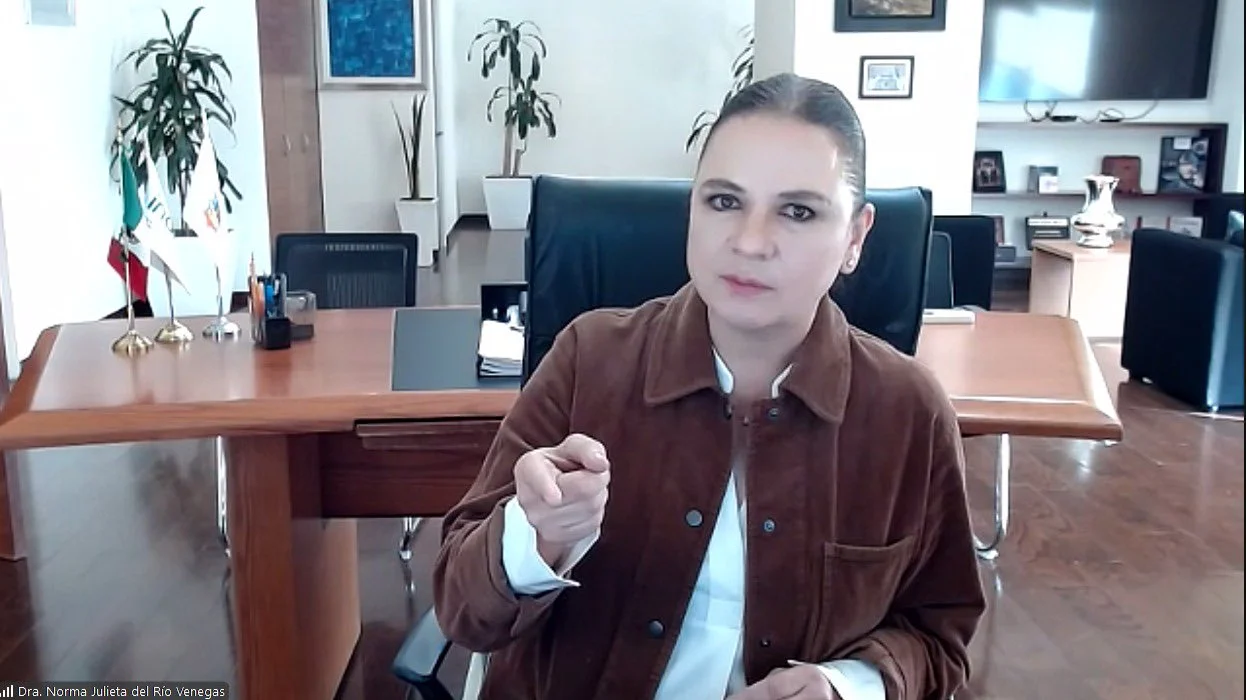 La comisionada del INAI Norma Julieta del Río Venegas.