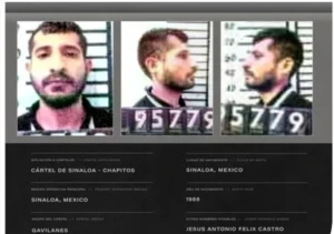 El Toner, jefe de seguridad de Los Chapitos.