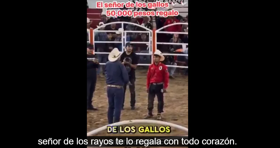Regalo de El Señor de los Gallos