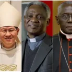 Los cardenales papables Matteo Zuppi, Luis Antonio Tagle , Peter Turkson, Robert Sarah y Jean-Claude Hollerich.