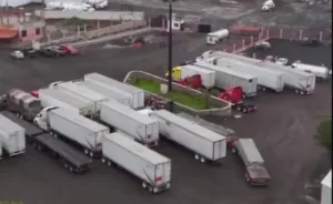 Parte de los caminones decomisados.