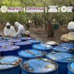 La Semar desmanteló narcolaboratoriio de metanfetamina en Nayarit.