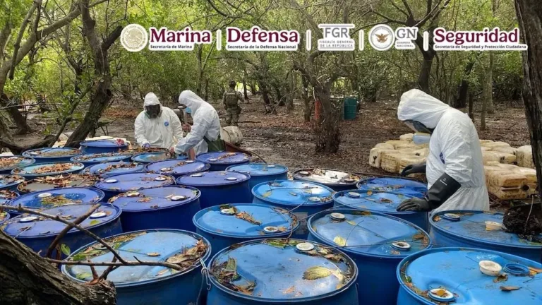 La Semar desmanteló narcolaboratoriio de metanfetamina en Nayarit.