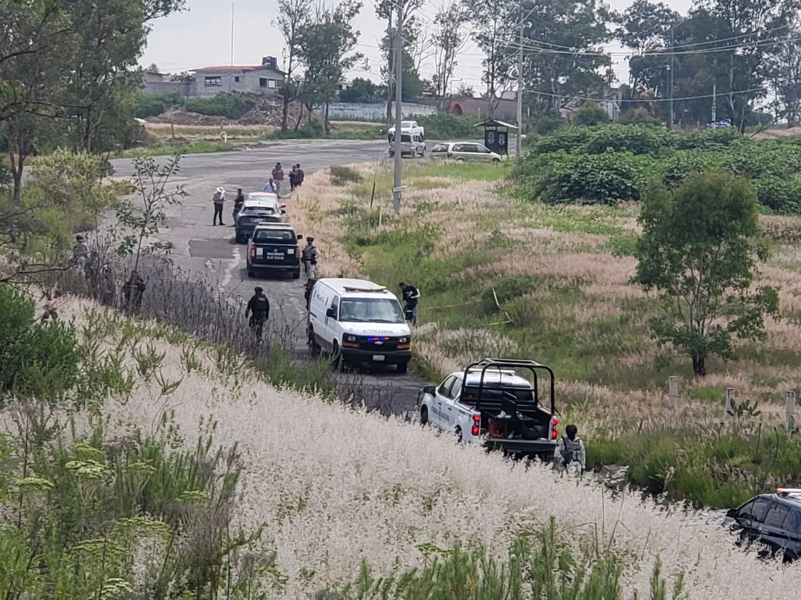 Tres jóvenes de Querétaro asesinados en Edomex.