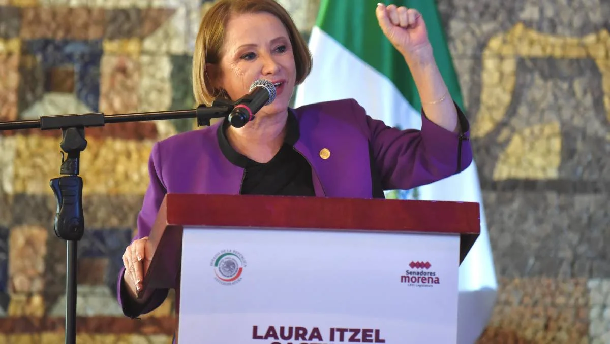 Laura Itzel Castillo será la sustituta de Fernández Noroña.