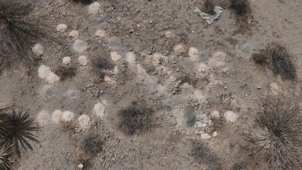 Hallazgo macabro en Las Vegas.