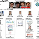 Estructura de trasiego de fentanilo para Los Chapitos.