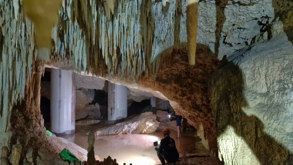Por fin aceptan daños a cenotes y cavernas con construcción del Tren Maya.