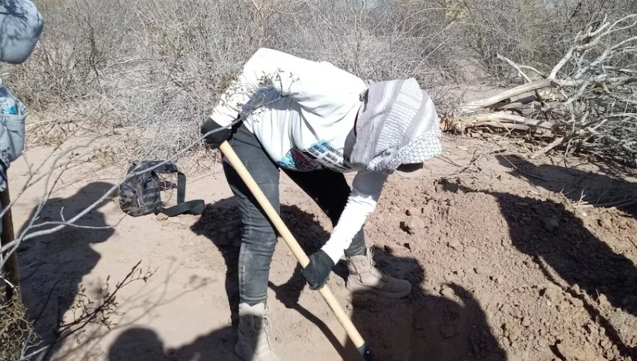 Localizan cementerio clandestino con 60 cuerpos en Sonora.