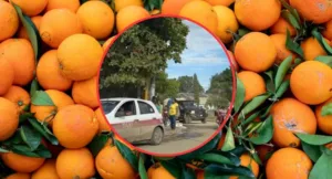 Javier Vargas Arias fue asesinado en Alamo, Veracruz.