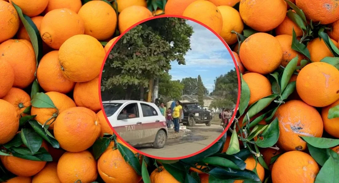 Javier Vargas Arias fue asesinado en Alamo, Veracruz.