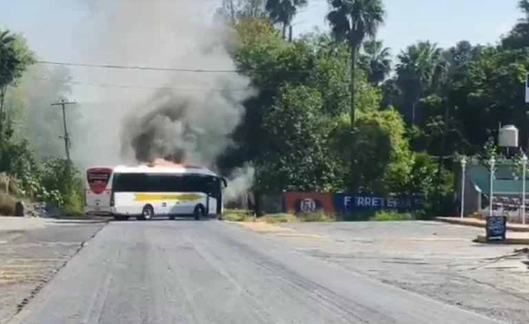 Bloqueos e incendios en Michoacán tras operativos de fuerzas federales.