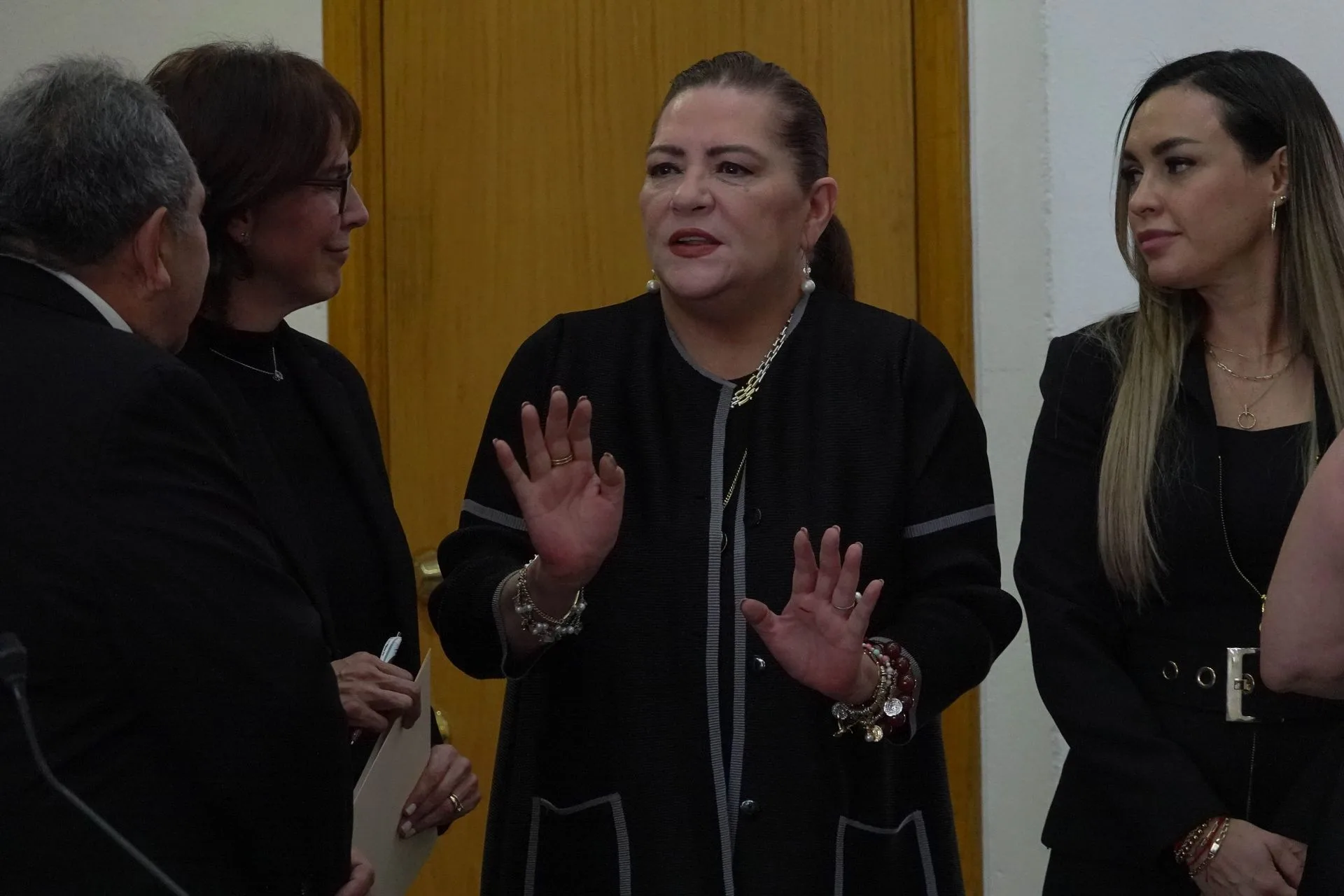 Guadalupe Taddei niega que exista propuesta formal de reforma electoral del INE.