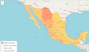 Incendios forestales 2025. Superficie afectada.