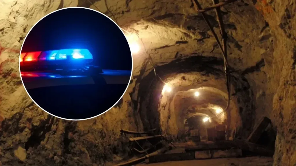 Secuestro de 10 ingenieros paraliza labores en la minera Vizsla Silver.