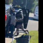 Vecinos de California defienden a jardineros mexicanos del ICE.