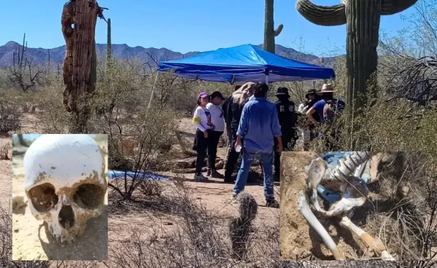Halla restos óseos en Sonoyta, Sonora, en supuesta fosa clandestina.