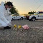Peluches de cerdito fueron dejados junto a los cuerpos. (Imagen creada con IA en Gemini)