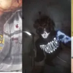La violencia juvenil pone en alerta a México.