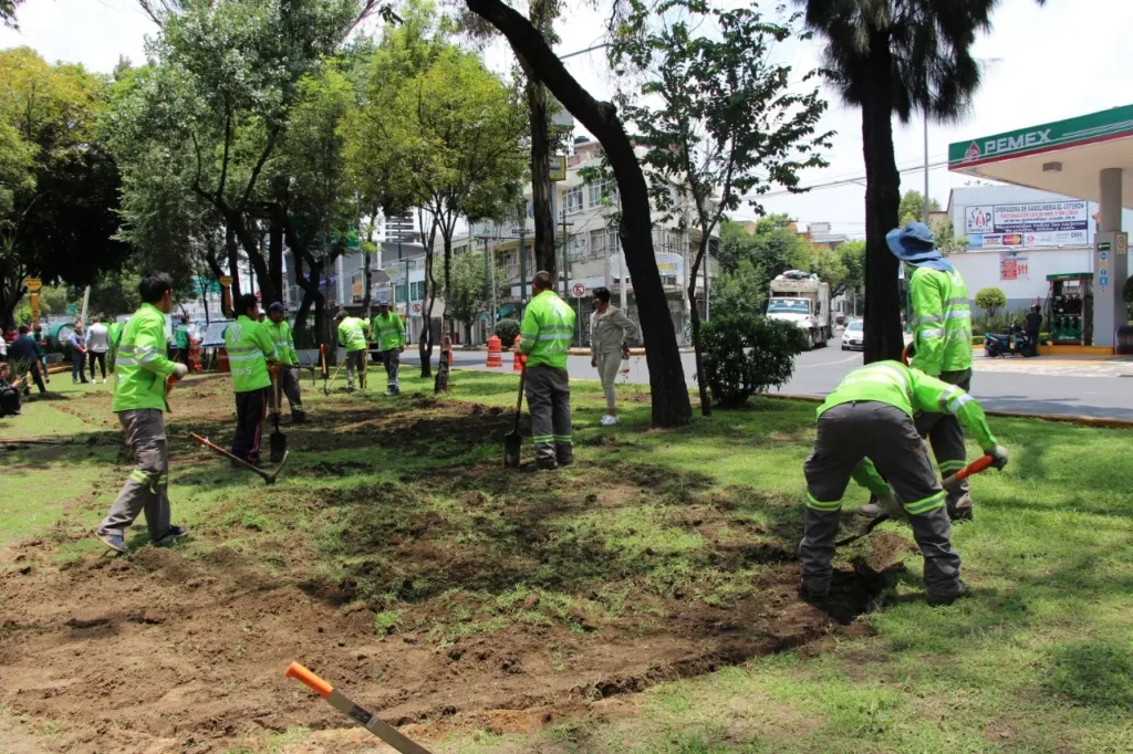 Prometen CDMX reforestar camellones.