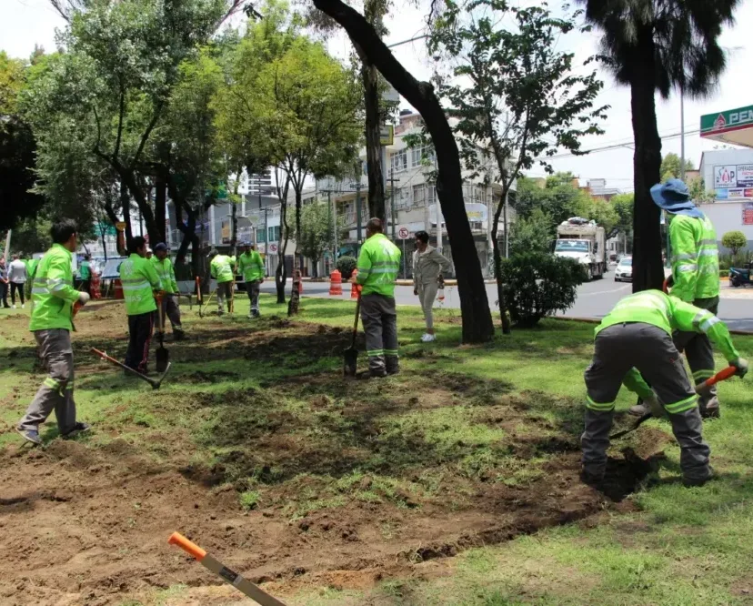 Prometen CDMX reforestar camellones.