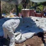 DEA responde a Sheinbaum: decomisos dependen de nosotros.