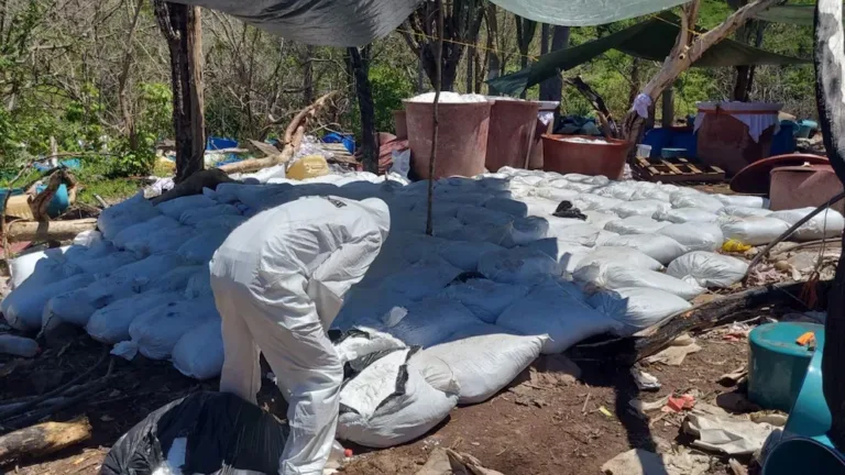 DEA responde a Sheinbaum: decomisos dependen de nosotros.