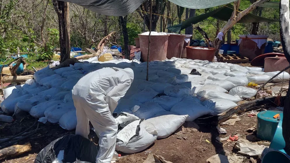 DEA responde a Sheinbaum: decomisos dependen de nosotros.