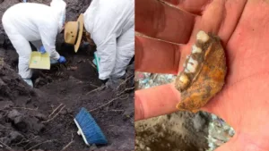 Hallan 1,600 dientes de leche en presunto campo de exterminio.