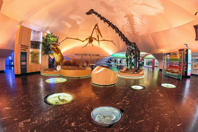 Museo de Historia Natural y Cultura Ambiental.