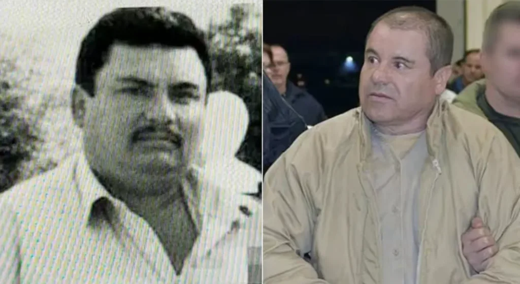 Aureliano Guzmán Loera, alias "El Guano".