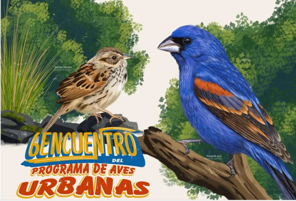 Encuentro de avistadores de aves.