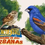 Encuentro de avistadores de aves.